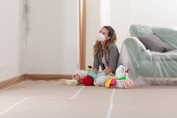 Reliable Mold Cleanup contractor in Hampstead, MD by WQB Mold Removal